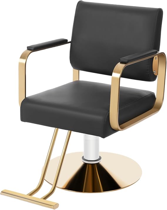Barber Salon Chair for Hair Stylist with Heavy Duty Hydraulic Pump,360 Swivel Hair Styling Chair,Multi-Function Barber Chairs with Adjustable Hight & Footrest for Barber Shops Homes & Spas