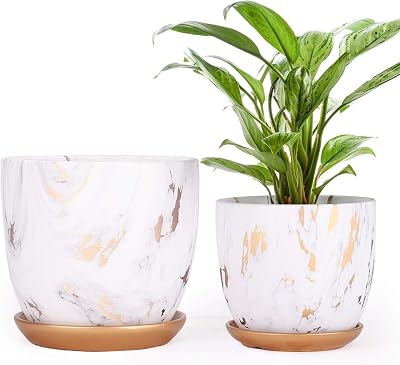 8 Inch Ceramic Plant pots Set of 2, 8 Inch 7 Inch Modern Flower Planter, Gold Marble Gardening Pots with Drainage Hole and Saucer for Outdoor Indoor Yard Garden Home Office Decoration.