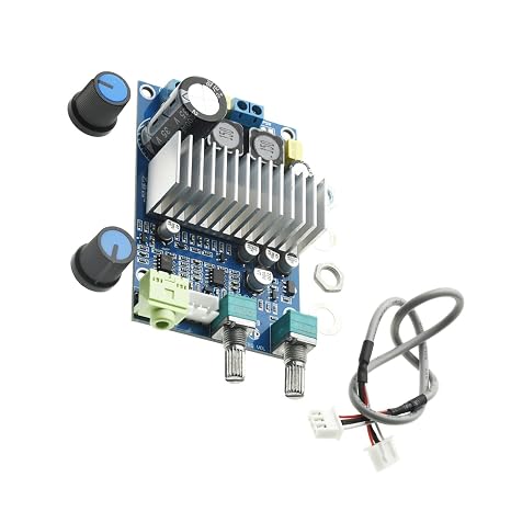 Heavy Bass Digital Amplifier Board 100 Watt High Output Low Distortion Easy Installation High Output Subwoofer Amplifier Module for Car Music System
