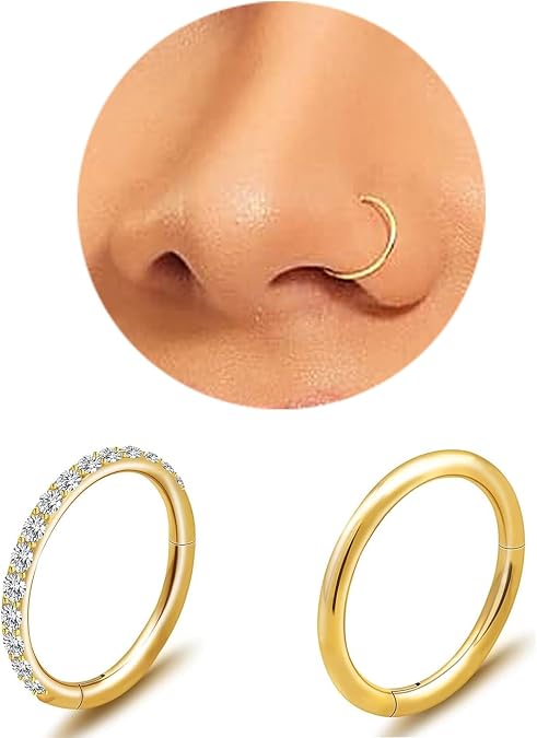 2PCS 8mm Titanium Nose Rings,Hypoallergenic Nose Rings,18g,G23 Small Hoops Earrings 18K Gold Plated,fashion titanium nose ring lightweight