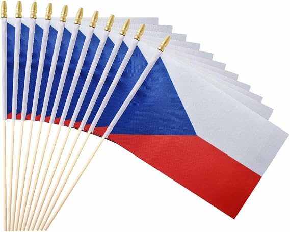 25Pack Small Czech Republic Flag Handheld Mini Czechia Flags on Stick 5x8 Inch