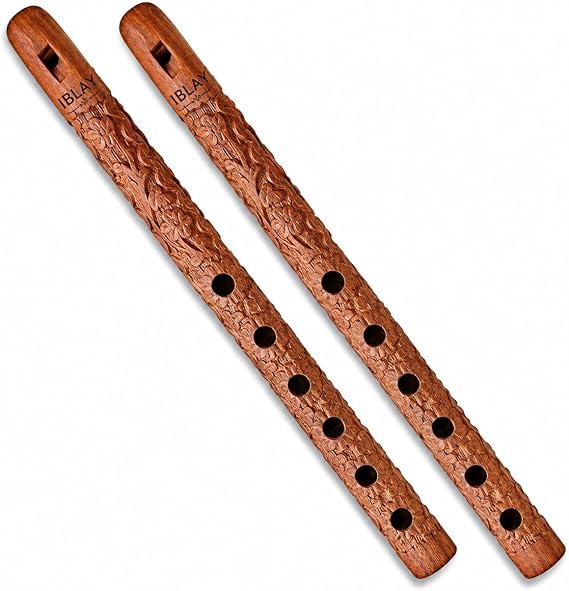 Traditional Wooden Flute Great Sound Woodwind Musical Instrument - Gift Flute for Kids (Set of 2)