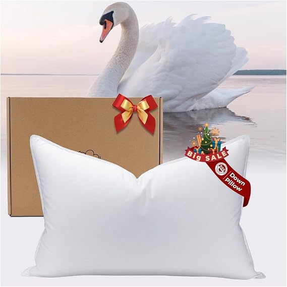 White Goose Down Pillow Luxury Hotel Bed Pillow with 100% 900+ Fill Power, Goose Feather Pillow for Sleeping, 700TC Cotton Shell, King Size- Medium, 1 Pack