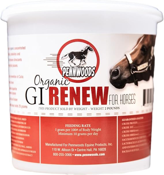 GI Renew Digestive Horse Supplement Powder, Organic, 1 lb | Probiotic Prebiotic Digestive Enzymes, Immune Appetite Stimulant, Organic Toxin Binder, Beta Glucans For Gut Health Stamina