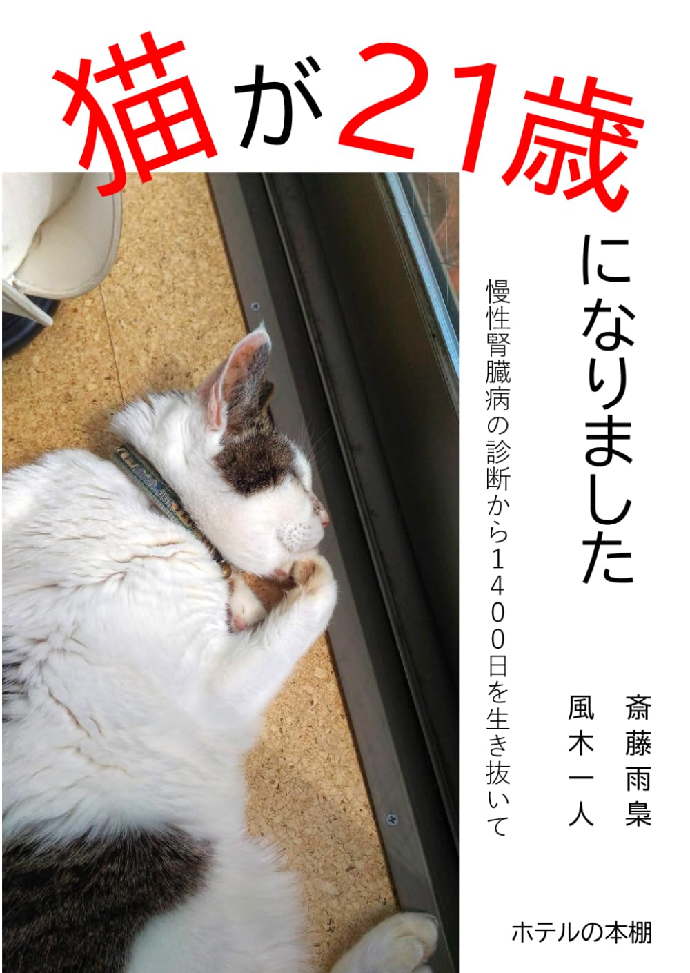 Cat turns 21: Surviving 1400 days from diagnosis of chronic kidney disease Paperback – June 25, 2022