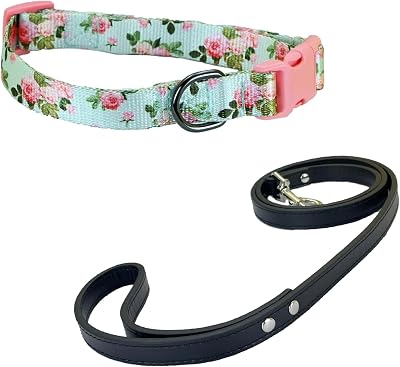 Fashion Flower Pattern Dog Leash and Dog Collar Puppy Collar for Medium Dogs Large Dogs m - Blue - S