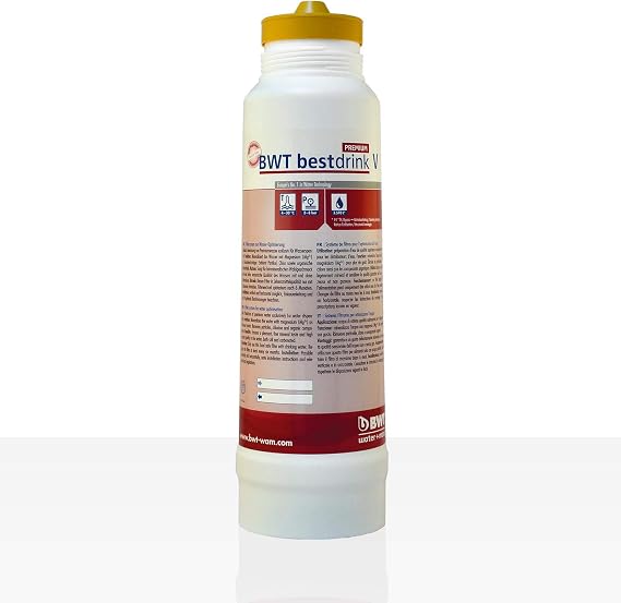 BWT Premium Bestdrink V without filter head
