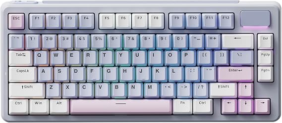 Rapoo V700DIY-75 Wireless Mechanical Keyboard, BT5.0 + 2.4GHz, Hot Swappable Custom Gaming Keyboard, Speed Silver Linear Switch, 16.8M Per-Key RGB, Gasket Mount, Creamy Sound, Full NKRO Anti-Ghosting