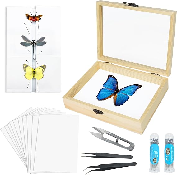 Insect Specimen Making Tool Kit (Pins, Shadow Box, Notice Board, Wing Press Paper, Tweezers, Scissors) - Project Collection Display