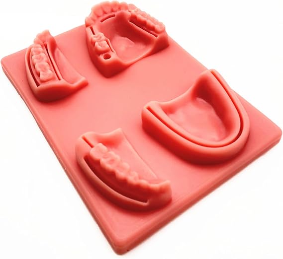 Oral Suture Dental Model Typodont Soft Silicone Gum 1:1 Medical School Wound Suture Practice Exam Module Teaching Simulation Conjoined Module