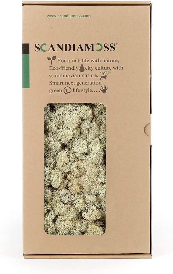 SCANDIAMOSS Reindeer Moss |Preserved Moss | Colorful Moss for Wall Decor, Arts and Crafts (17oz)