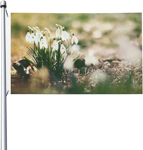 Wild Spring Snowdrop Flag 5ft x 3ft with Eyelets Garden Polyester Double Sided Flags