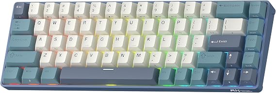 RK ROYAL KLUDGE RK68 65% RGB Wireless Mechanical Keyboard for Gaming QWERTY
