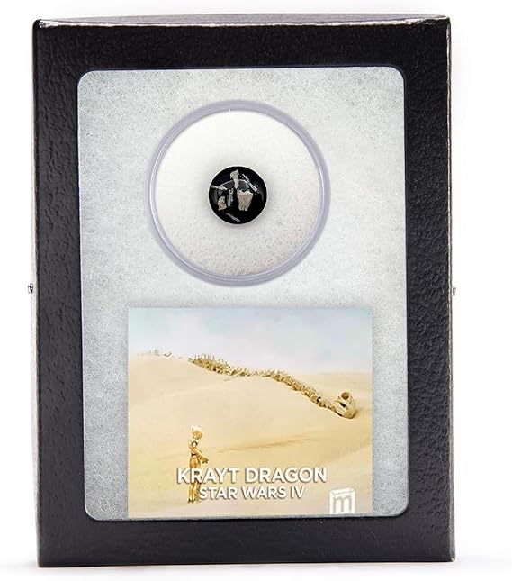 Mini Museum Krayt Dragon Prop Fragment, Original 1977 Movie Memorabilia, Display Box