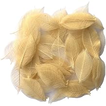 200 Pcs Small 2-3.5 Inches Natural Skeleton Leaves Rubber Tree Scrapbooking, Craft DIY Card, Wedding, Bouquets, Seasonal Gift