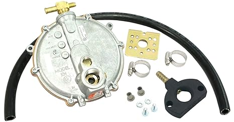 Propane Natural Gas Conversion Pulsar PG6580E