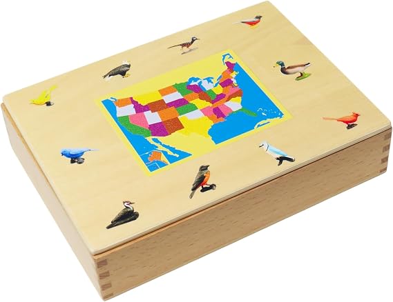 ancona American Birds, English Monolingual, Montessori Preschool Memory Matching Game Box Set with Animal Figurines & 3-Part Cards, Early Education Toy