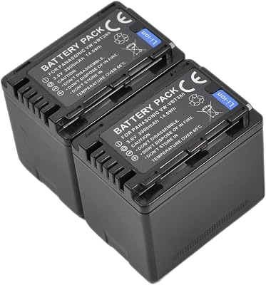 2x Camcorder BatteryCharger USB Dual for vw-vbt190 hc-v770 vbt380 v380 wx970 v180 sdr-t70 v160 v110 v750 vx870 w570 v270 v250 hcv180 v110p v800 vx980 v550 wx990m wxf991 v210 v201 v520 vx989 s1a