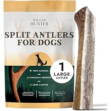 William Hunter Deer Antlers for Dogs - Naturally Shed Antler Chews for Dogs, Long Lasting & Nutritious Antler Dog Chews that Promote Dental Health with No Foul Smell (1 Large Split)