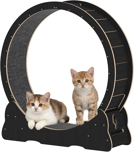41"/46" Cat Exercise Wheel for Indoor Cats, Cat Running Treadmill Wheel with Detachable Carpet & Toy for Running/Walking/Training, Suitable for Most Cats Black-L