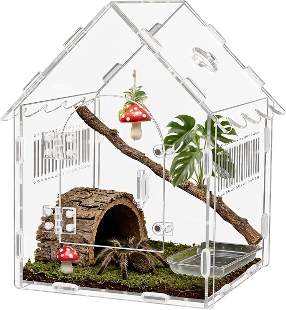 Acrylic Jumping Spider Enclosure 8x8x12 with Magnetic Lock