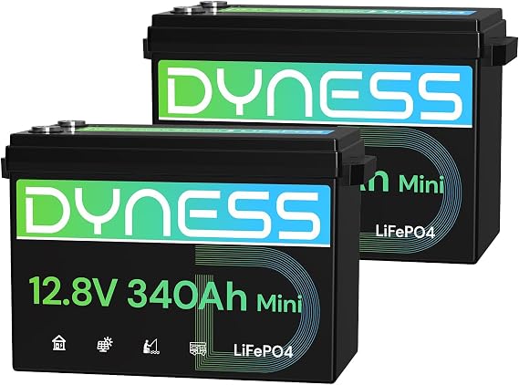 Dyness 12V 340Ah Mini Lithium Battery, for RV,Solar System,Off-Grid 2-Pack