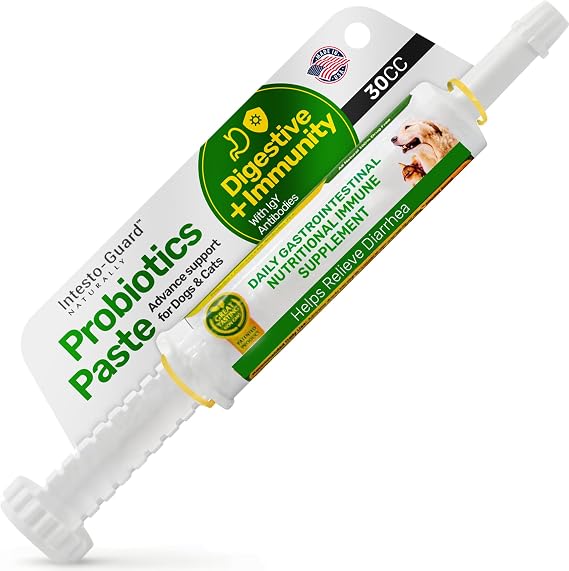 Probiotics Paste for Dogs Prebiotic for Canine, Gut Support, Immune Boost, All Natural with 1 Billion per ML Includes (MOS)+ Beta Glucans + D-Mannose, No Animal by-Products - 30ML Single Tube