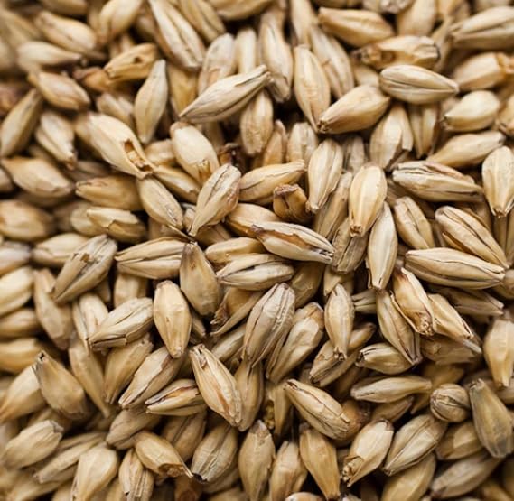 Briess Pale Ale Malt - 5 lb Bag