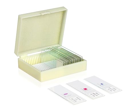 B17108 Prepared Slide Set-Basic Botany (Pack of 15)