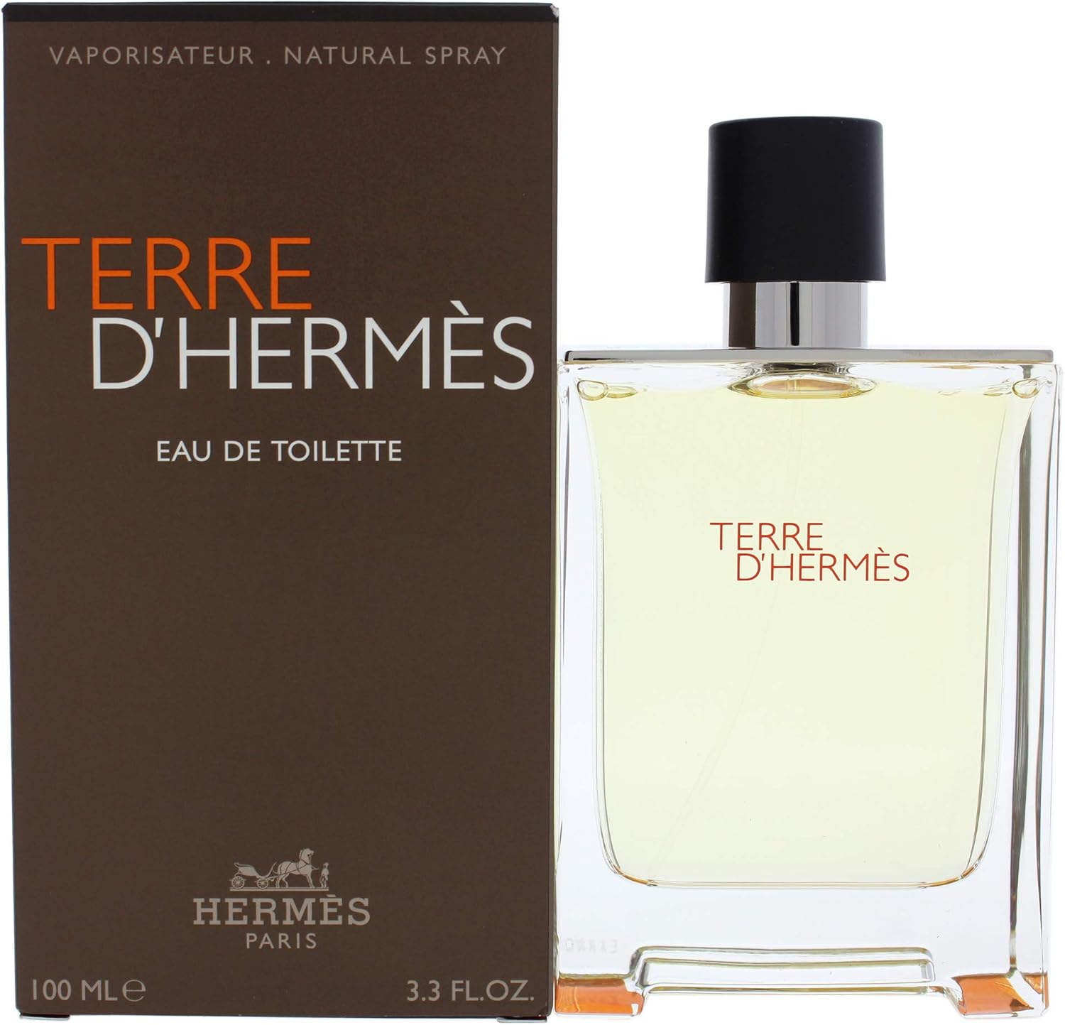 Hermes Terre DHermes EDT 100ml Mens Perfume