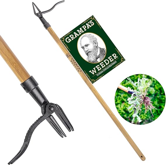Grampa's Weeder Original Stand Up Weed Puller Tool with Bamboo Long Handle | 4-Claw Steel Head Weeding Tool Weed Remover Tool Pulls Dandelions, Crabgrass & Taproots No Bending Saves Your Back