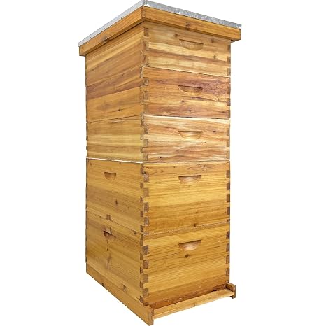 5-Layer Langstroth Bee Hive Kit 100% Beeswax Coated Wood Beehive | No Frames ,Includes 2 Deep Breeding Boxes and 3 Medium Super Boxes, 10-Frame Standard Bee House with Metal Top Cover,