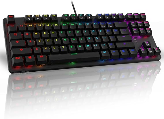 TECWARE Phantom 87 Key RGB Mechanical Gaming Keyboard | Outemu Blue Switch | 16.8M Color LED Lighting | 18 Pre-Set | Low Latency | N-Key Rollover | Software Customizable Keys | Wired USB Connection