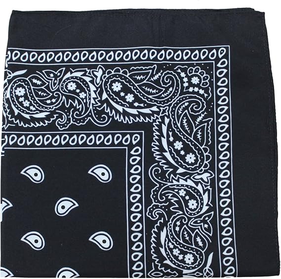 Mechaly Pack of 4 X-Large Paisley Cotton Printed Bandana - 27 x 27 inches