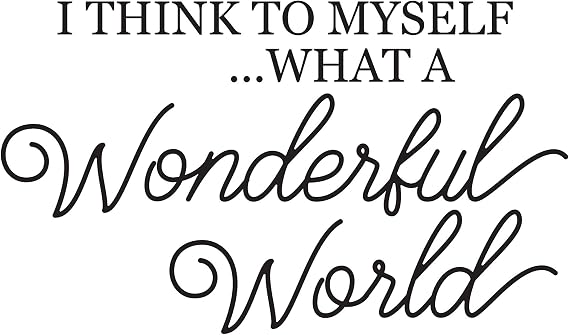 Vinyl Wall Decal Song Lyrics Quote What a Wonderful World from Louis Armstrong | Home Decor Sticker for Bedroom, Playroom, or Classroom | Black, Brown, Blue, Gold