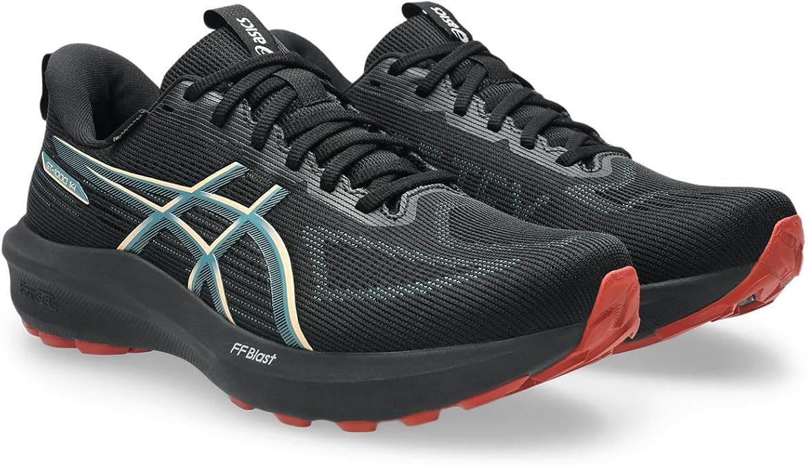 ASICS Men's GT-1000 14 GTX Running Shoe