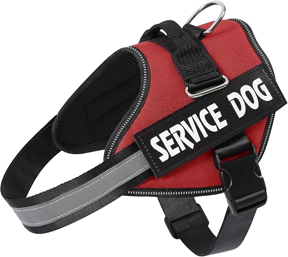MUMUPET Service Dog Vest, No Pull & Reflective Dog Harness, Red, XS | Easy Control Handle, Soft & Breathable Padding, Adjustable Fit for Small to Large Dogs, 2 Removable Patches