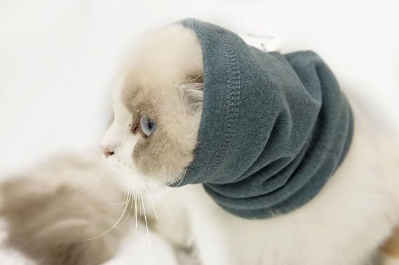 Cat Ear Protector No Scratch Wound Care Aqua Blue