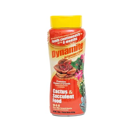 Dynamite Cactus & Succulent Food 18-6-8 - Cacti & Succulent Plant Food