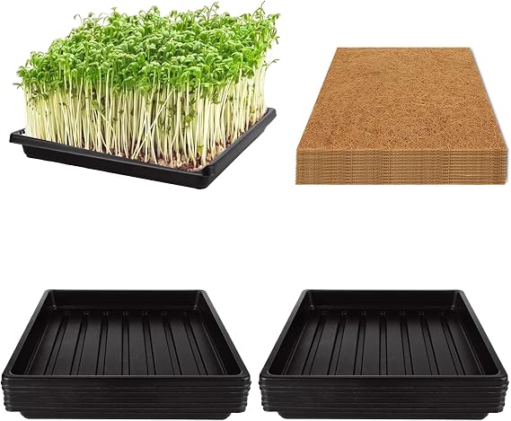 12 Set Microgreens Growing Mat with Tray 10 x 10 inch Square Growing Trays for Micro Greens Seeds Sprout, Microgreen Growing Kit Herb Plant Starting Kit with Jute Pads for Indoor