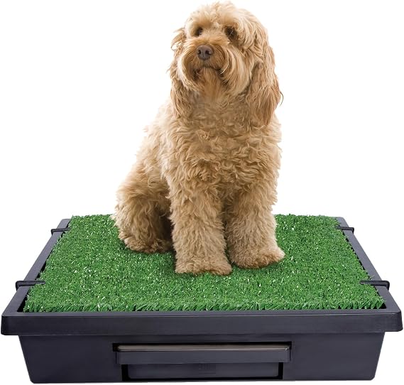 PetSafe Pet Loo Portable Dog Potty, Medium | Gass Mat Toilet Alternative for Puppy Pads, Perfect for House Training and Small Spaces, Less Odor and Conveneint Clean-Up