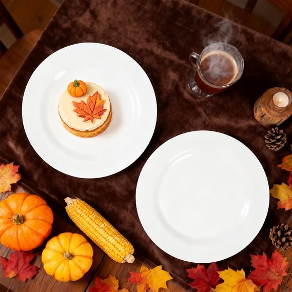 9inch Melamine Dinner Plates,6 Piece White Melamine Plates Set
