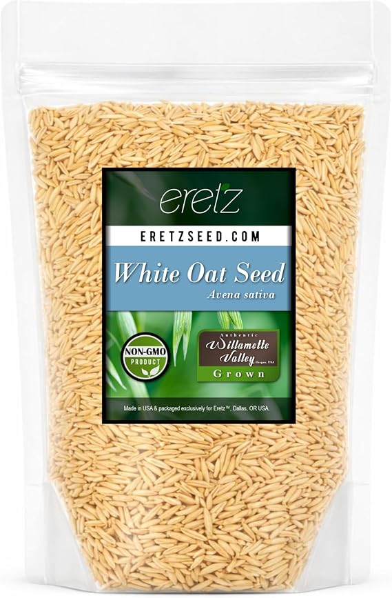 White Oat Seed by Eretz - Choose Size! Oregon Grown Oat Grains- No Fillers, No Coatings, No Weed Seeds (1lb)
