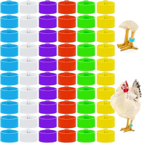 180pcs Chicken Leg Bands, Multicolor Chicken Leg Rings, 16 mm Clip On Chicken Identification Leg Bands Poultry Leg Bands, Ankle Rings for Birds Ducks Chicks