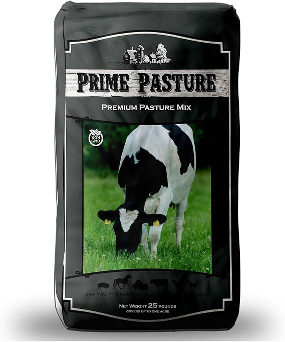 Outsidepride Ryegrass Seeds - 50 lb. Annual, Hardy & Fast-Growing, Cover Crop Seeds for Planting Glossy Dark Green Grass Leaves, Ideal for Hay Foraging, Pasture Grazing & Erosion Control