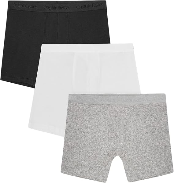 Organic Basics Men's Core 6" Organic Cotton Boxer Brief Underwear 3-pack
