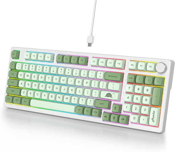 Wired Creamy Gaming Keyboard with Number Pad, 96% Hot-swappable Mechanical Keyboard, Full Layout Custom Keyboard Gasket Mounted with Red Switch Knob Control(Green)