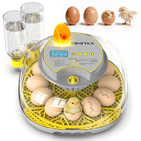 Incubator for Hatching Eggs - 12 Egg Capacity, 360 Viewing for Chicken