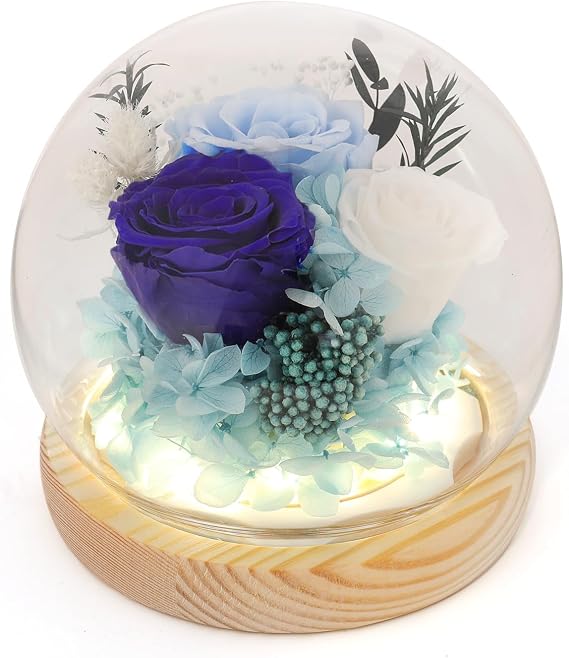 Preserved Flowers Eternal Roses in Glass Dome - Perfect Valentine's Day Gifts for Her, Girlfriend, or Mom - Elegant Home Decor & Bedroom Decor