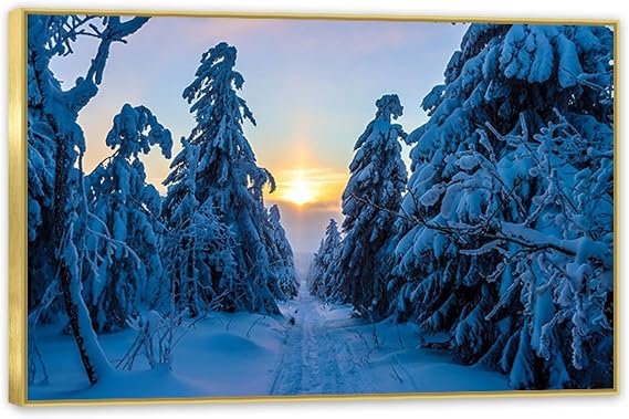 MOBYAT Winter Forest Painting,Forest sunset trails cedar trees,Poster Black and White Landscape Wall Art,Winter Scene Wall Art in Home & Kitchen45x30cm(18x12in) Gold frame